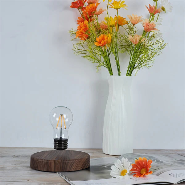 Aviaura - Levitating Light Bulb